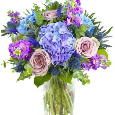 Get well soon - Purples, Blues & Lilacs