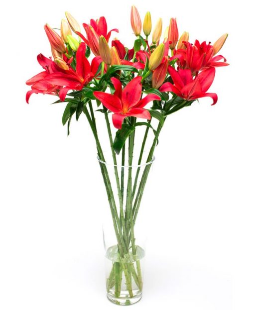 Subscription Flower Delivery - Red Lilies Flowers Delivered Weekly