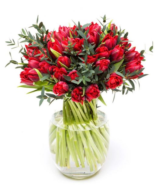 Bright Red Tulips Delivered Nationwide to your home or office