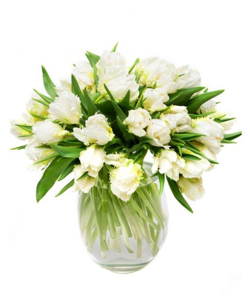 Letterbox Flowers Delivered - Double White Tulips Flowers Delivered Weekly