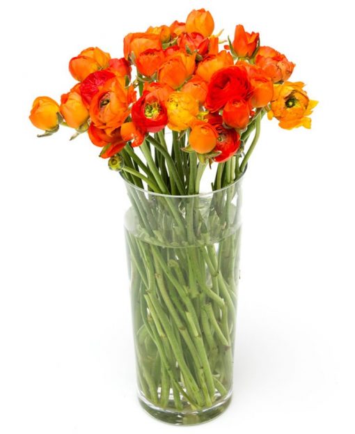 Weekly Subscription Flower Delivery – Orange Ranunculus Flowers Delivered