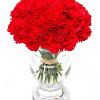 Fortnightly letterbox Flower Delivery - Red Carnations Flowers Delivered