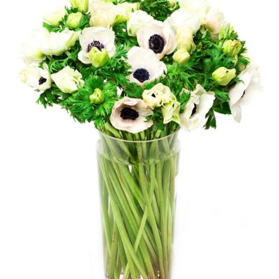 Fortnightly Flower Delivery – White Anemones Flowers Delivered