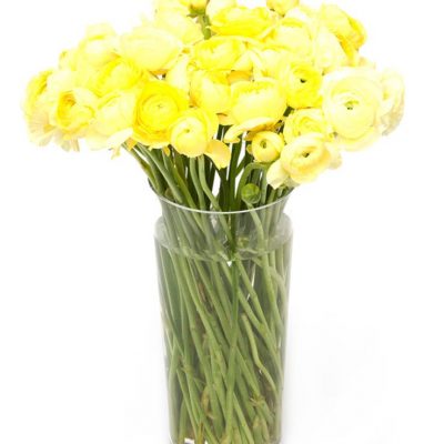 Weekly Subscription Flower Delivery Service – Yellow Ranunculus Flowers Delivered