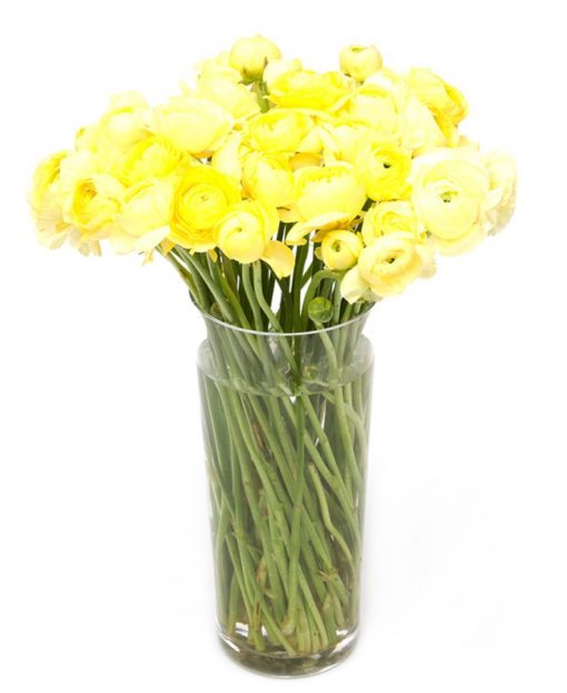 Weekly Subscription Flower Delivery Service – Yellow Ranunculus Flowers Delivered