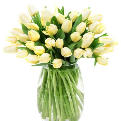 Weekly Flower Delivery – cream