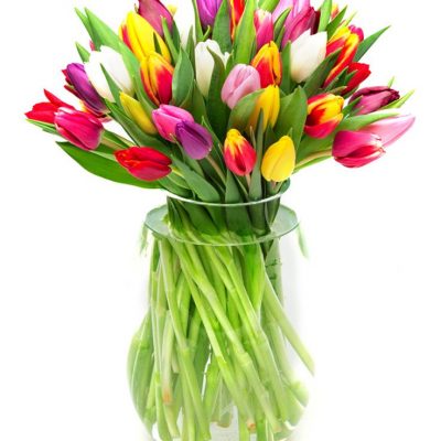 Weekly Flower Delivery – mixed