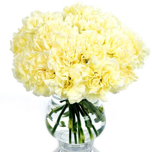 Subscription Flowers - Carnations - Image 5