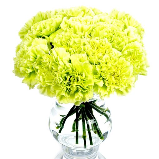 Subscription Flowers - Carnations - Image 4