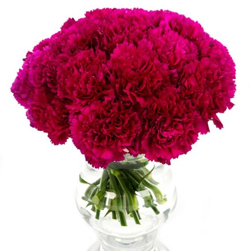 Subscription Flowers - Carnations - Image 3