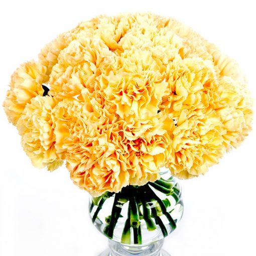 Subscription Flowers - Carnations - Image 2