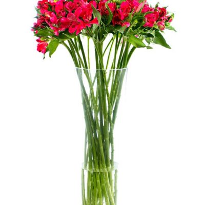 Fortnightly Flower Delivery - alstroemeria red