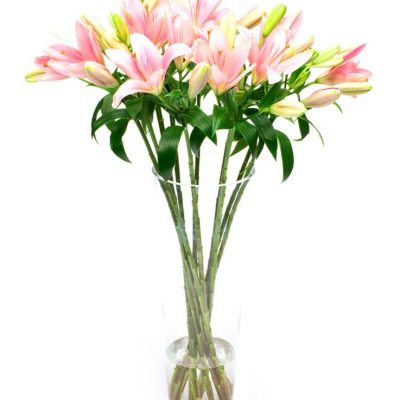 Lilies - Asiatic - Pink - Delivered weekly