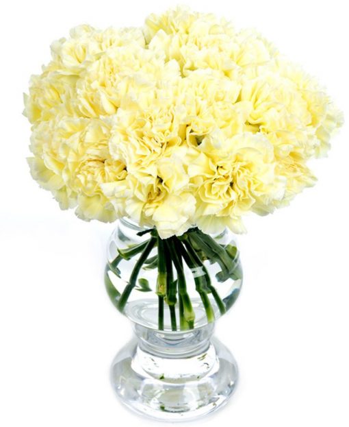 Weekly flower delivery - Carnations Flowers Delivered