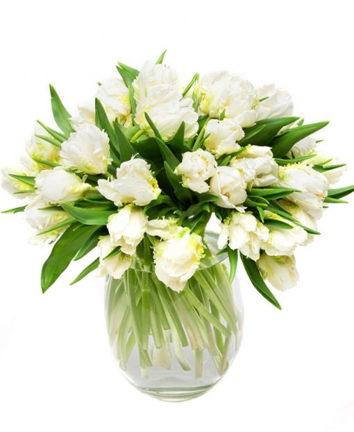 Double White Tulips for the Home or Office delivered weekly