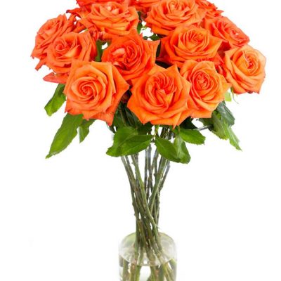 Weekly Flower Delivery –Roses - Long Stemmed - Orange