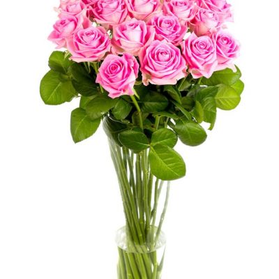 Weekly Flower Delivery –Roses - Long Stemmed - Pink