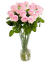 Long Stemmed Roses - Soft Pink