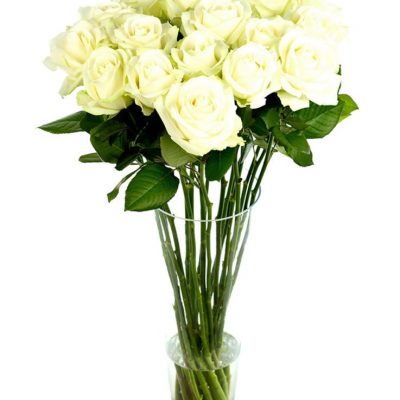 Weekly Flower Delivery – Roses - Long Stemmed - White