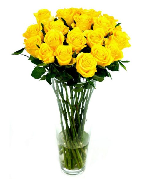 Weekly Flower Delivery – Roses - Long Stemmed - Yellow