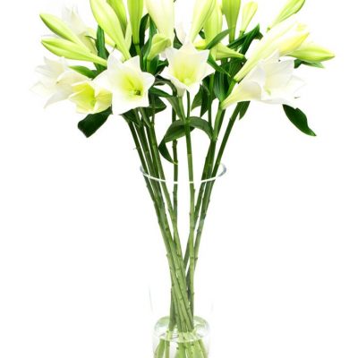 Flower Subscription - Lilies