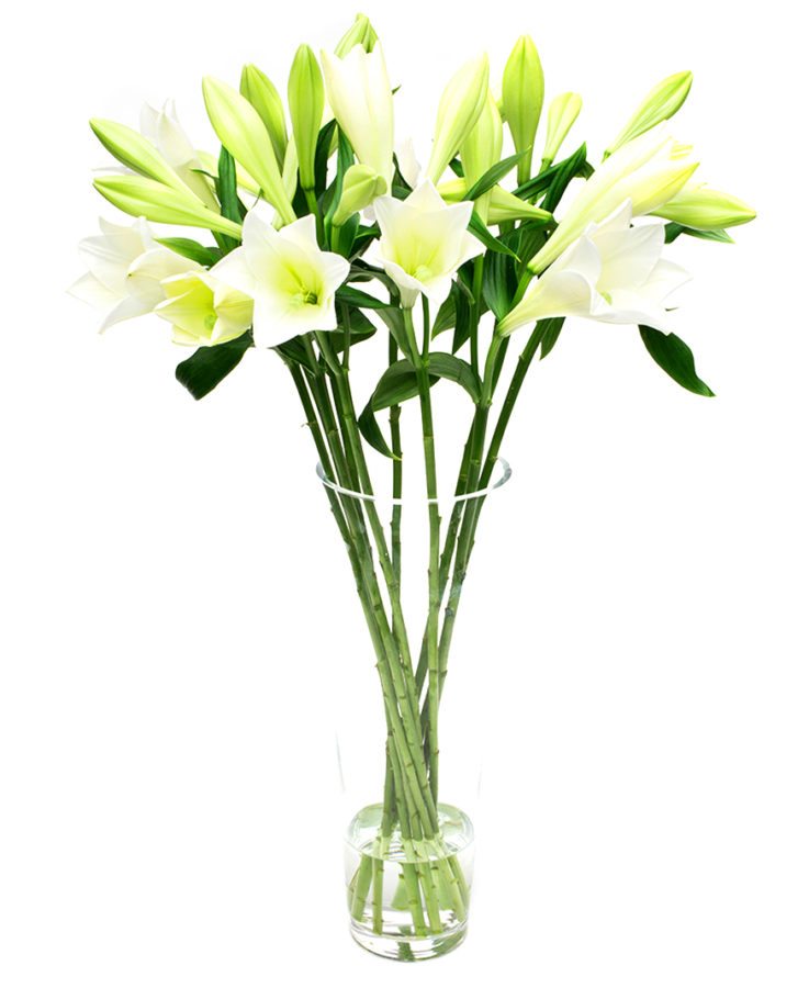 Flower Subscription - Lilies