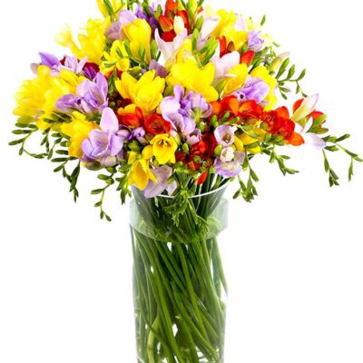 Frequent Flowers - Freesias