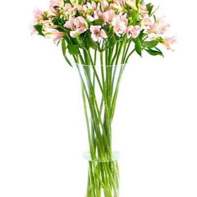 Weekly Flower Delivery - Pink Alstroemeria Flowers Delivered