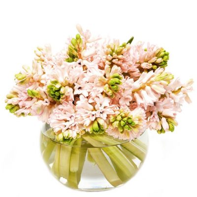 Pink Hyacinths Flowers Delivered, Delivery Nationwide