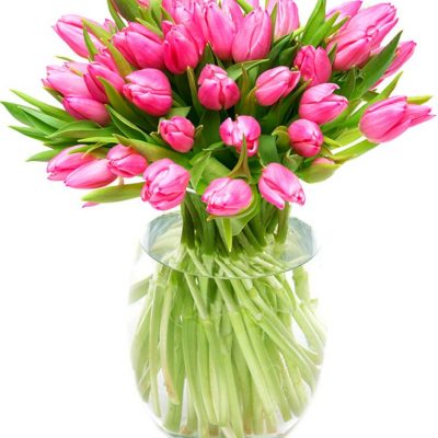 Weekly Flower Delivery – Pink Tulips for the Home or Office