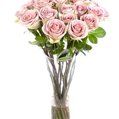 Weekly Flower Delivery –Roses - Long Stemmed - Amnesia