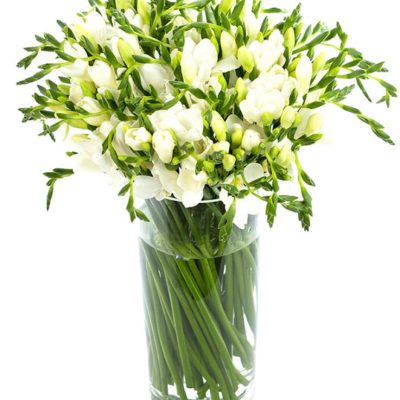 White Freesias Delivered