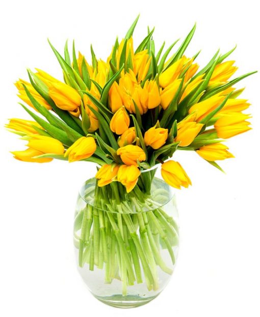 Weekly Flower Delivery – Yellow Tulips for the Home or Office