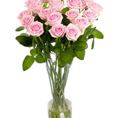 Long Stemmed Roses - Soft Pink