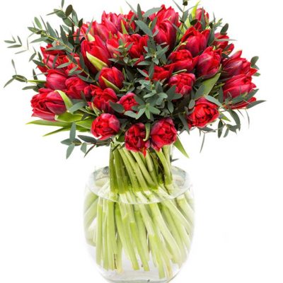 Valentines Day - Red Tulips and Foliage