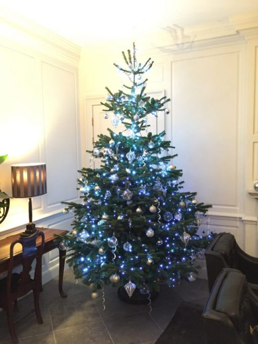 Office Christmas Tree - Decorated - Clear & Silver