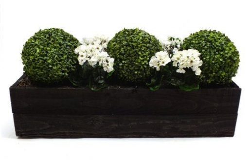 Artificial Buxus and Geranium Trough