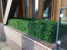 Bespoke Artificial Buxus Hedge