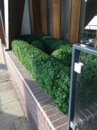 Bespoke Artificial Buxus Hedge 3