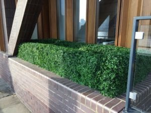 Bespoke Artificial Buxus Hedge