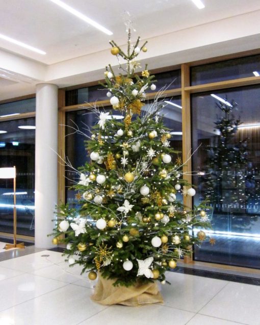 Office Christmas Tree - 8-9ft Nordmann Fir - Decorated - Image 10