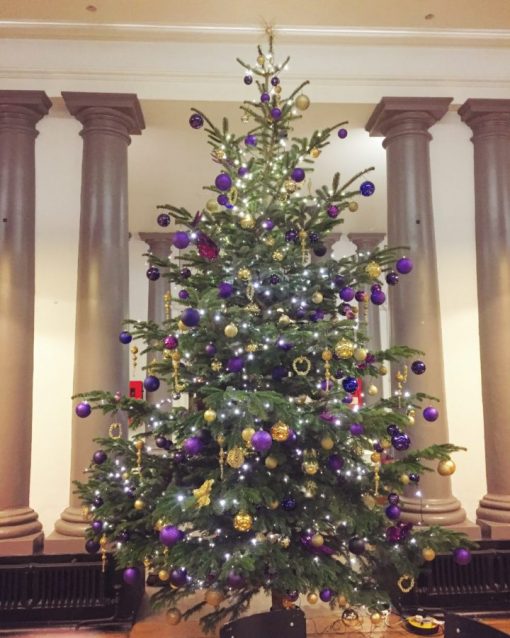 Office Christmas Tree - Decorated - Purple & Gold