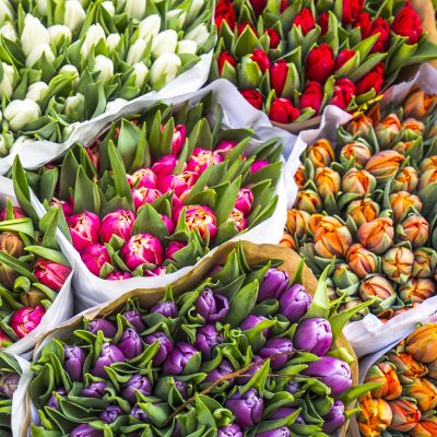 Build your Flower Bouquet