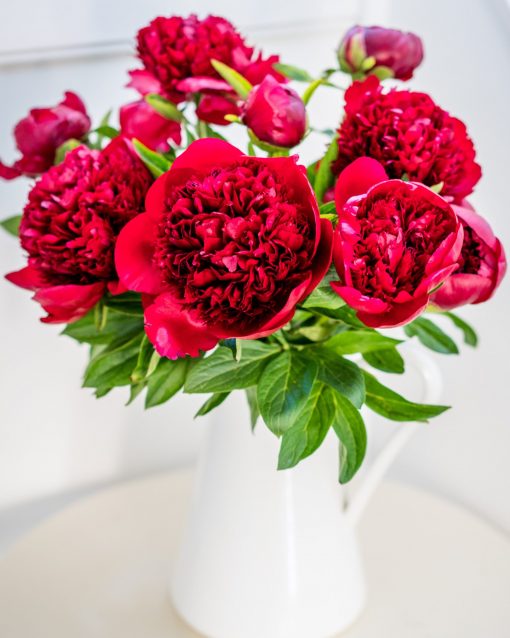 Peonies - Deep Red - Image 4