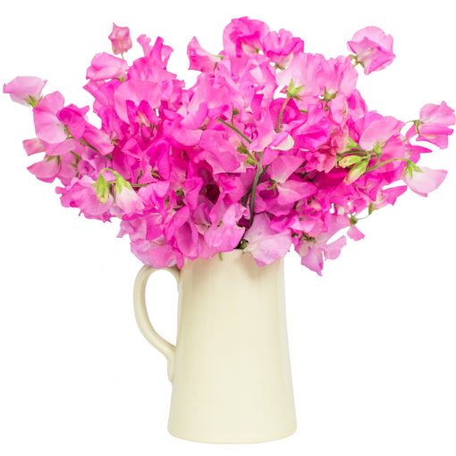 Subscription Flowers - Sweet Peas - Image 4