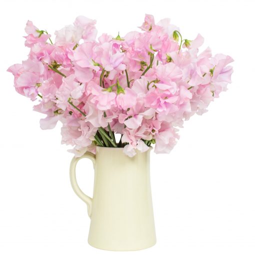 Subscription Flowers - Sweet Peas - Image 3