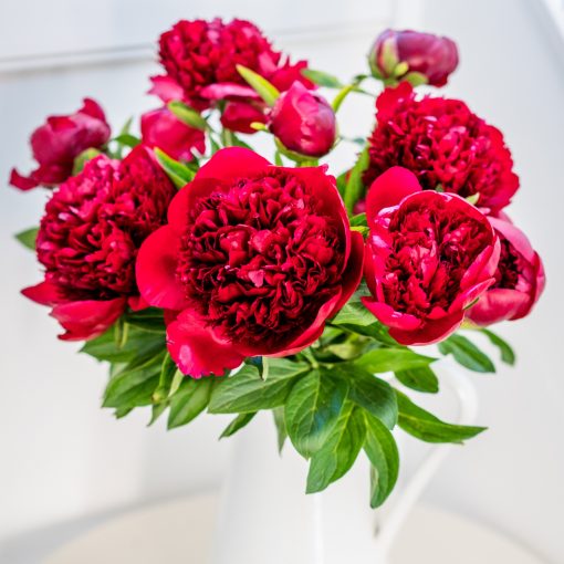 Subscription Flowers - Peonies - Image 3