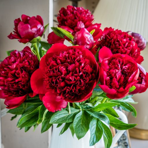 Send peonies