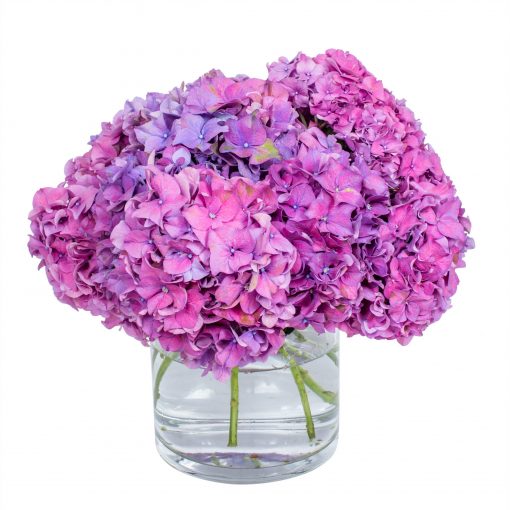 Hydrangea - Purple - Image 2