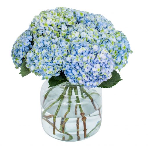 Hydrangea - Mottled Blue - Image 2